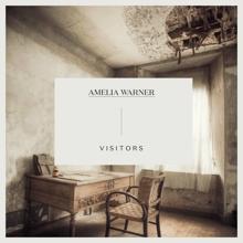 Amelia Warner: Visitors