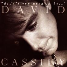 David Cassidy: Didn't You Used To Be...