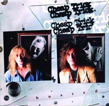 Cheap Trick: Busted