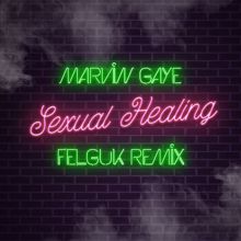 Marvin Gaye: Sexual Healing (Felguk Remix)