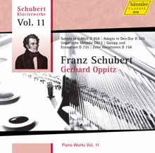 Gerhard Oppitz: Schubert: Piano Works, Vol. 11