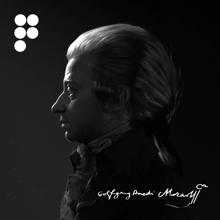 Wolfgang Amadeus Mozart: Wolfgang Amadeus Mozart, Vol. 1