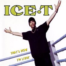 Ice T: New Jack Hustler (Nino's Theme) (12'' Mix)