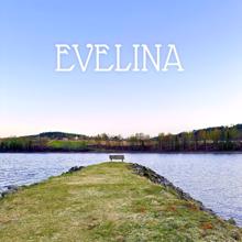 Evelina: Spindelvev