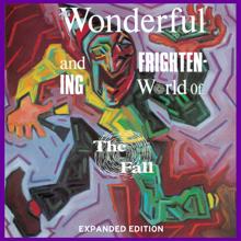 The Fall: The Wonderful and Frightening World of The Fall (Expanded Edition)