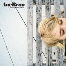 Ane Brun: A Temporary Dive