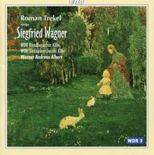 Roman Trekel: Roman Trekel sings Siegfrid Wagner