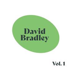 DAVID BRADLEY: David Bradley, Vol. 1