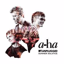 a-ha: Analogue (All I Want) (MTV Unplugged) (Analogue (All I Want))