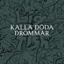 Big Fish: Kalla döda drömmar