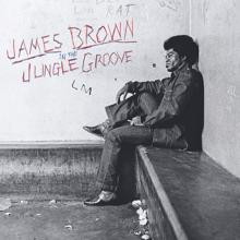 James Brown: In The Jungle Groove