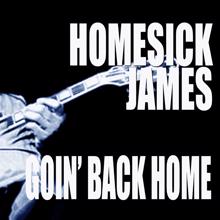 Homesick James: Goin' Back Home