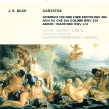 Peter Schreier: Bach, J.S.: Cantatas - Bwv 36C, 203, 209