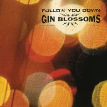 Gin Blossoms: Not Only Numb (Live At Dingwalls, 1996)
