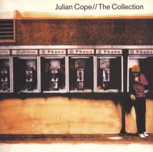Julian Cope: Sunspots