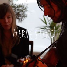 Low Low Low La La La Love Love Love: Harvesting (Acoustic)