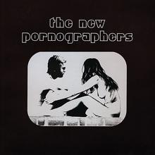 The New Pornographers: Letter From An Occupant