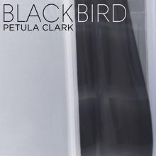 Petula Clark: Blackbird