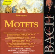 Helmuth Rilling: Bach, J.S.: Motets