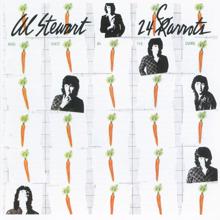 Al Stewart: 24 Carrots