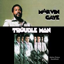 Marvin Gaye: Trouble Man