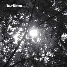 Ane Brun: Big in Japan