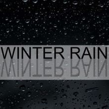 Rain Sounds: Winter Rain