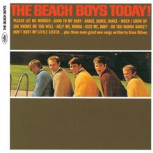 The Beach Boys: The Beach Boys Today! (Mono & Stereo) (The Beach Boys Today!Mono & Stereo)