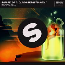 Sam Feldt: Wishing Well (feat. Olivia Sebastianelli)