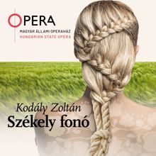 Magyar Állami Operaház Zenekara, Balázs Kocsár & Erika Gál: Jaj! Jöjjön haza, édesanyám! (Háziasszony)