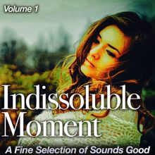 Various Artists: Indissoluble Moment, Vol. 1