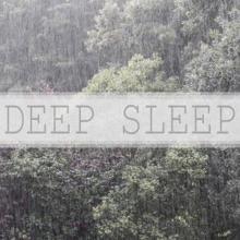 Rain Sounds: Deep Sleep