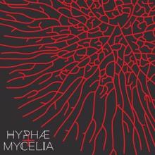 Sabiani: Hyphae+ Mycelia