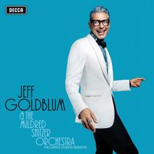 Jeff Goldblum & The Mildred Snitzer Orchestra: Cantaloupe Island (Live)