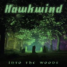 Hawkwind: Into the Woods