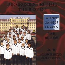 Wiener Sangerknaben: Kaiserwalzer (op. 437)