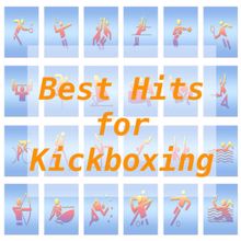 Tune Robbers: Best Hits for Kickboxing