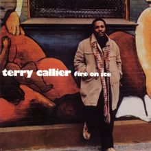 Terry Callier: Fire On Ice