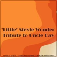 Stevie Wonder: Tribute to Uncle Ray