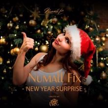 Numall Fix: New Year Surprise