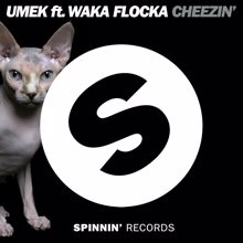 Umek, Waka Flocka Flame: Cheezin' (feat. Waka Flocka Flame) (Instrumental Mix)