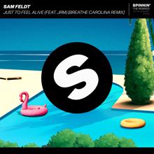 Sam Feldt: Just To Feel Alive (feat. JRM) (Breathe Carolina Remix)