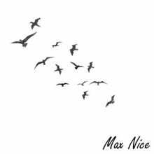 Max Nice: Лететь с тобой