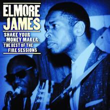 Elmore James: Shake Your Money Maker: The Best Of The Fire Sessions