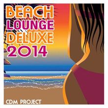 CDM Project: Beach Lounge Deluxe 2014