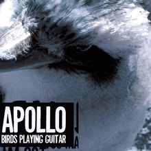 Apollo: Birds Playing Guitar