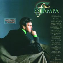 Caetano Veloso: Fina Estampa