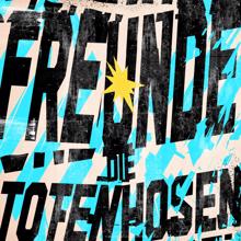 Die Toten Hosen: Freunde (Live in Argentinien)