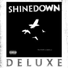 Shinedown: Sin with a Grin