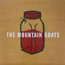 The Mountain Goats: Jam Eater Blues